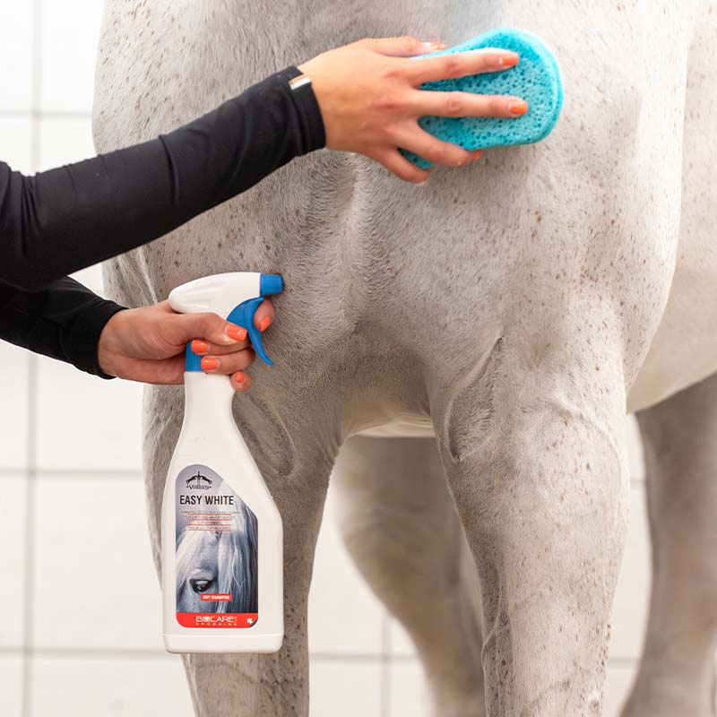 Droogshampoo Easy White 500ml