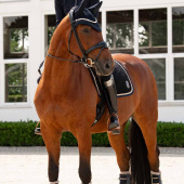 Dressuurzadeldekje Velvet Emblem Heritage Marineblauw Dressuurzadeldekje Velvet Emblem Heritage Marineblauw