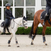 Veelzijdigheidszadeldekje Shetty Velvet Emblem Heritage Marineblauw Veelzijdigheidszadeldekje Shetty Velvet Emblem Heritage Marineblauw