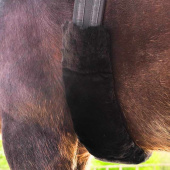 Singelhoes Lambskin Zwart Singelhoes Lambskin Zwart