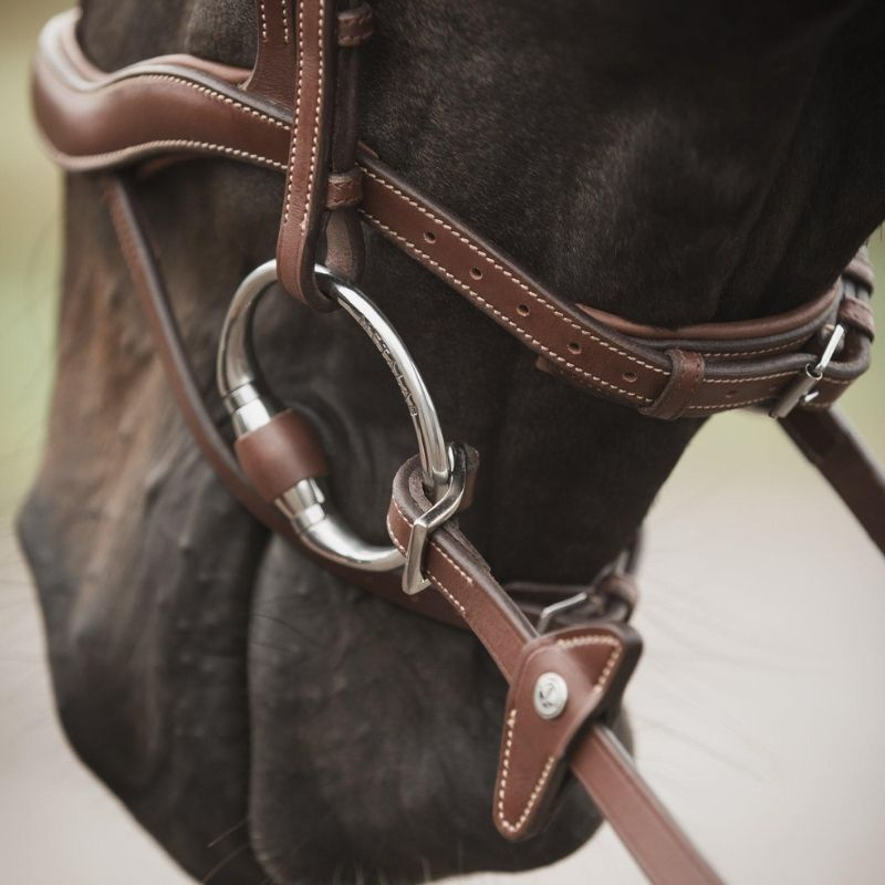 Rubberen teugels met stops Eccelente Buckle Loop Bruin