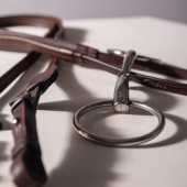 Enkelgebroken Trens met Losse Ringen Stainless Steel 16mm Enkelgebroken Trens met Losse Ringen Stainless Steel 16mm