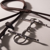 Fullcheek Bit Dubbelgebroken Stainless Steel 16mm Fullcheek Bit Dubbelgebroken Stainless Steel 16mm