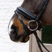 Flex Trens met Losse Ringen Hard 20mm Flex Trens met Losse Ringen Hard 20mm