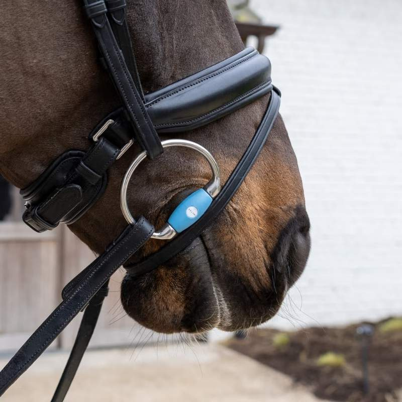 Olijfbit Flex Medium 20mm