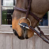 Olijfbit Soft Flex Soft 20mm Olijfbit Soft Flex Soft 20mm