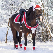 Borsttuig Christmas Rood/Wit Borsttuig Christmas Rood/Wit