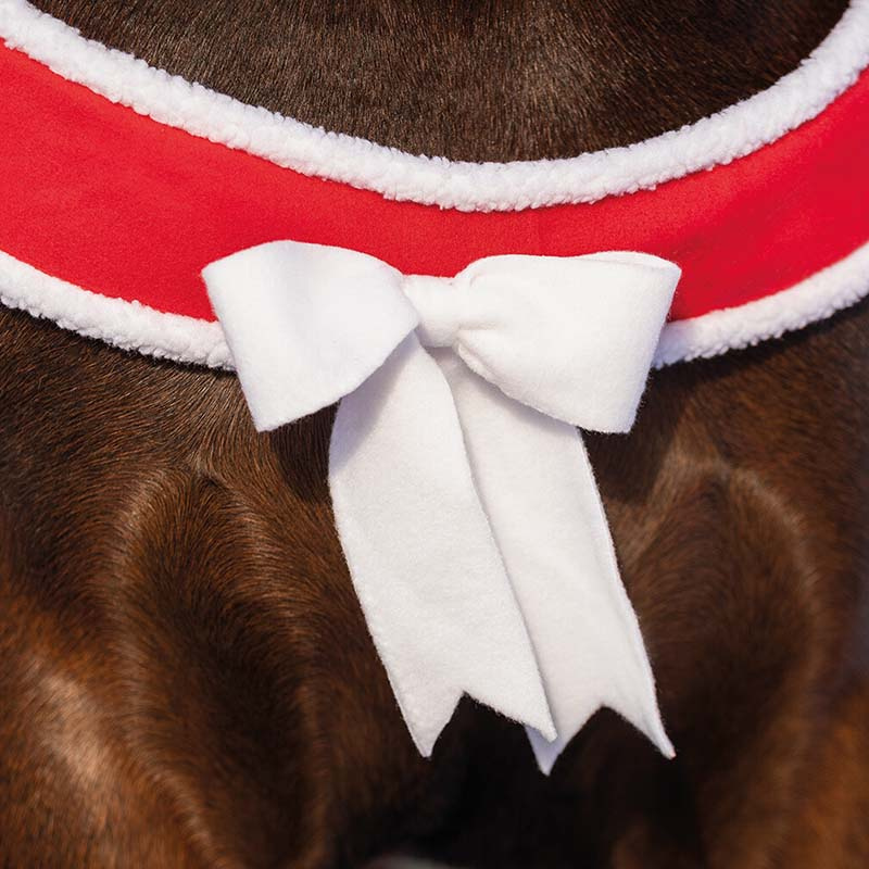 Borsttuig Christmas Rood/Wit