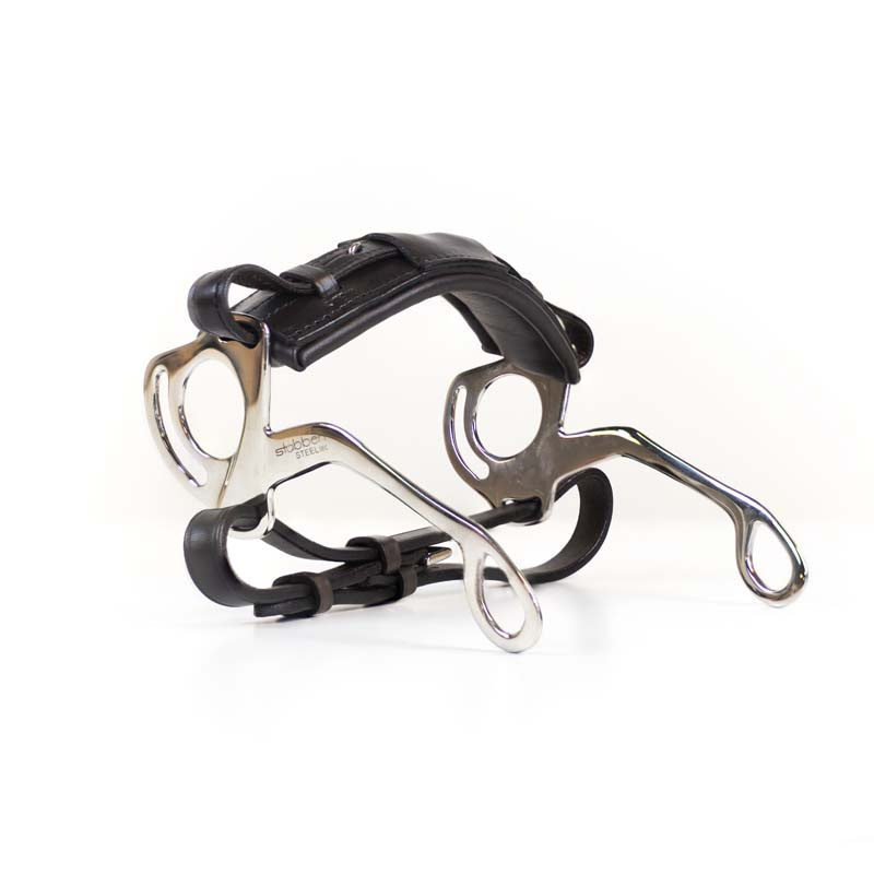 Hackamore Bruin