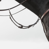 Korte martingaal Elastic Eccelente Bruin Korte martingaal Elastic Eccelente Bruin