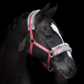 Halster met Fleece Rood/Grijs Halster met Fleece Rood/Grijs