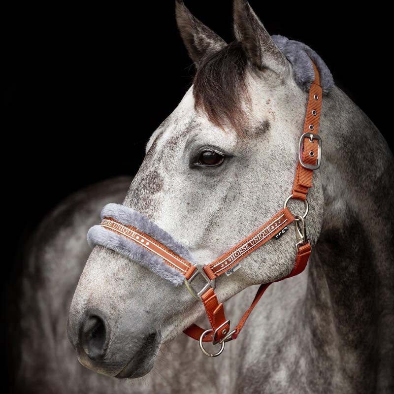 Halster met Fleece Oranje/Grijs