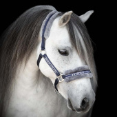 Halster met Fleece Marineblauw/Grijs Halster met Fleece Marineblauw/Grijs