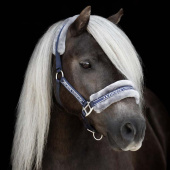 Halster met Fleece Marineblauw/Grijs Halster met Fleece Marineblauw/Grijs