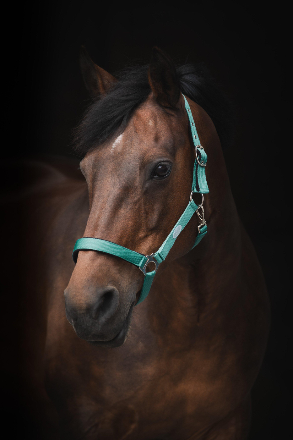 Halster Basic Turkoois