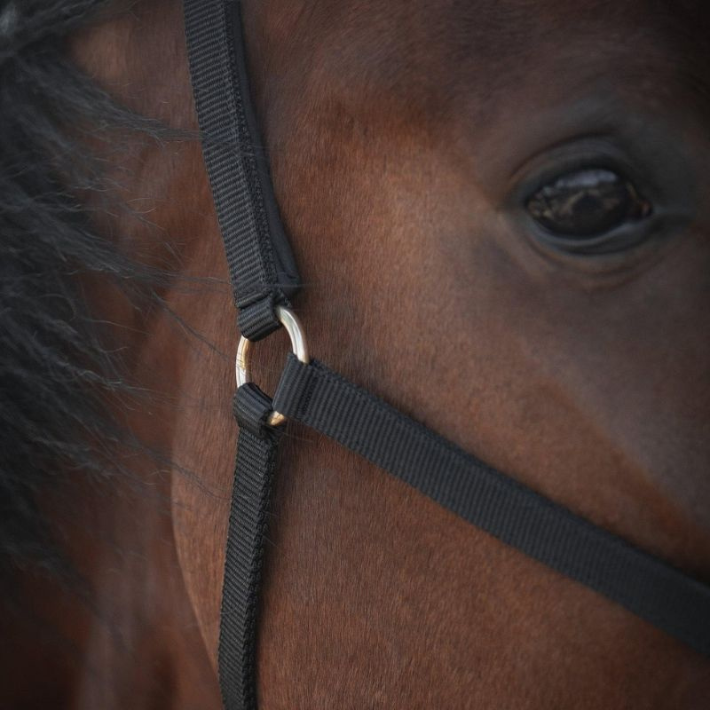 Halster Track Zwart