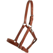Leren halster Draft Oak Bark Leren halster Draft Oak Bark