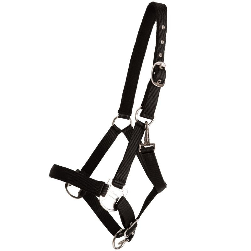 Halster Double Buckle Zwart