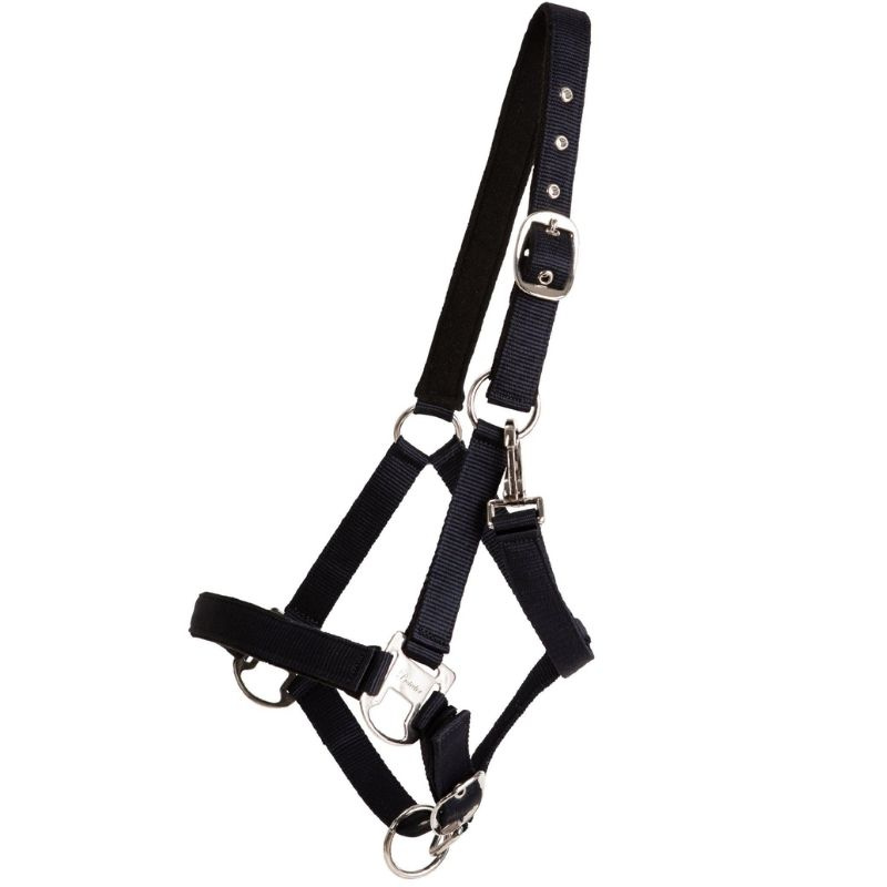 Halster Double Buckle Marineblauw