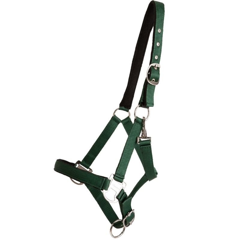 Halster Double Buckle Groen