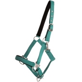 Halster Double Buckle Turkoois Halster Double Buckle Turkoois