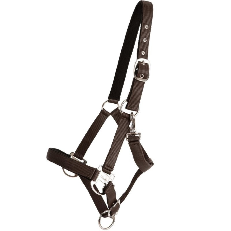 Halster Double Buckle Bruin