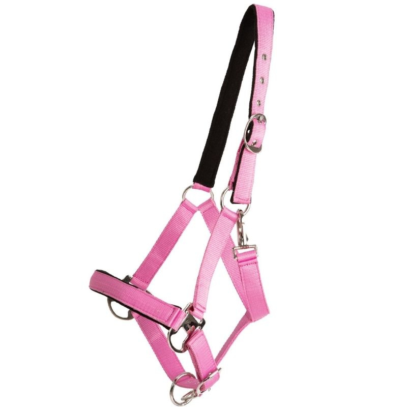 Halster Double Buckle Roze