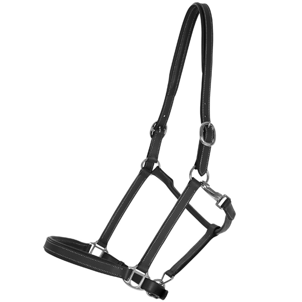 Leren halster Slim Basic Zwart
