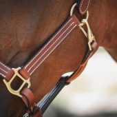 Leren halster Lexington Supreme Bruin Leren halster Lexington Supreme Bruin