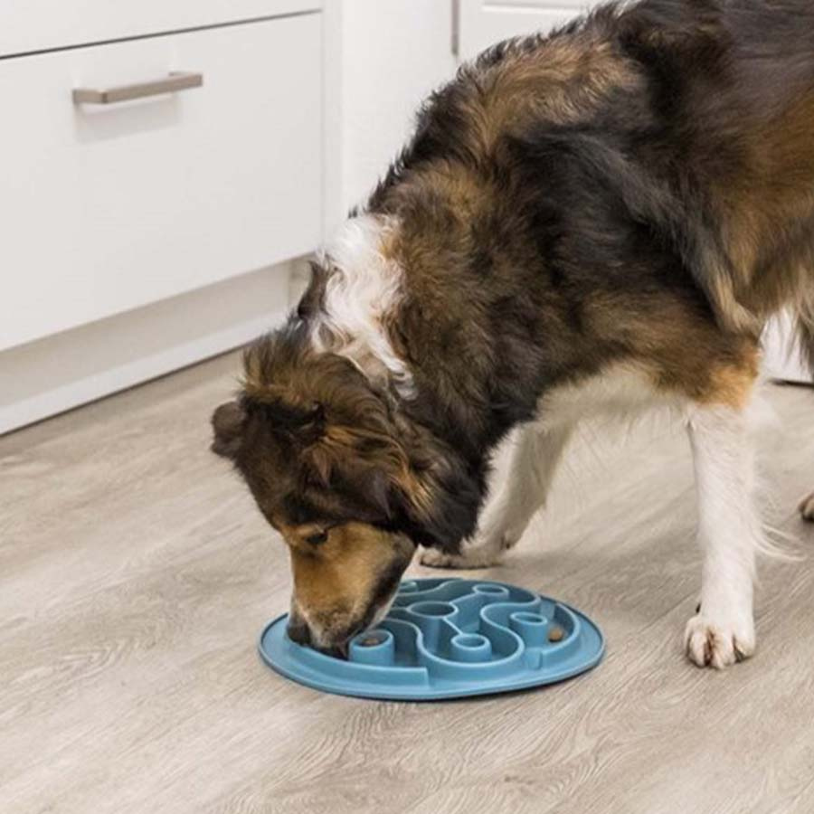 Slowfeed Voermat Turkoois