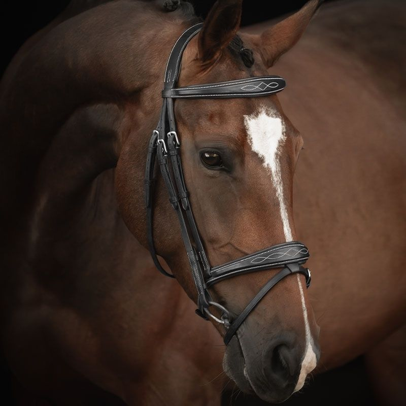 Hoofdstel Supreme Fancy Zwart