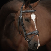 Hoofdstel Supreme Fancy Zwart Hoofdstel Supreme Fancy Zwart
