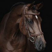 Anatomisch hoofdstel Eccelente Bruin Anatomisch hoofdstel Eccelente Bruin