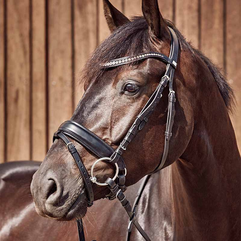 Dubbelgebroken trens met losse ringen HG