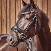Dubbelgebroken trens met losse ringen HG Dubbelgebroken trens met losse ringen HG