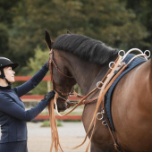 Hoge leidselboog voor longeersingel Zilver Hoge leidselboog voor longeersingel Zilver