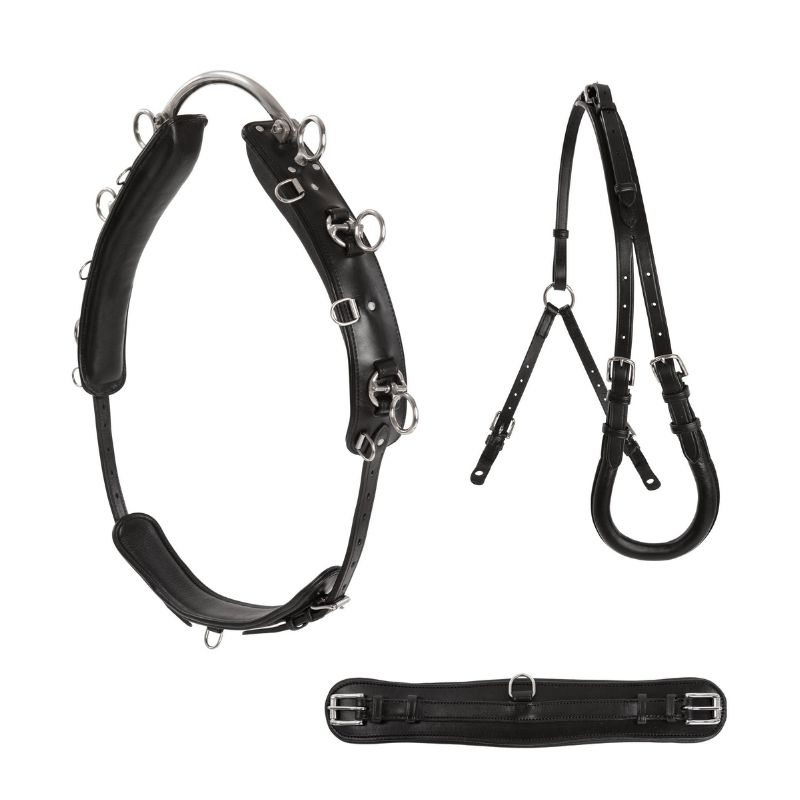 Longeersingel Shetland/Pony Zwart