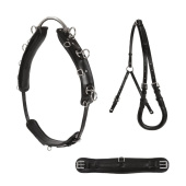 Longeersingel Shetland/Pony Zwart Longeersingel Shetland/Pony Zwart