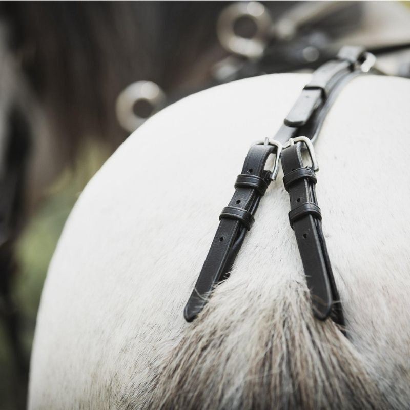 Longeersingel Shetland/Pony Zwart