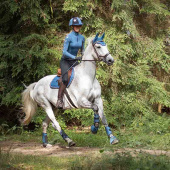 Veelzijdigheidszadeldekje Eldorado Blauw Veelzijdigheidszadeldekje Eldorado Blauw