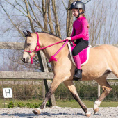 Bareback Pad Fauxfur Roze Bareback Pad Fauxfur Roze