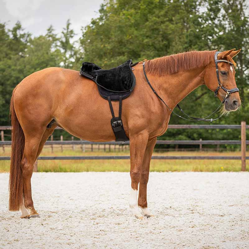Barback Pad Super Soft Zwart/Zwart