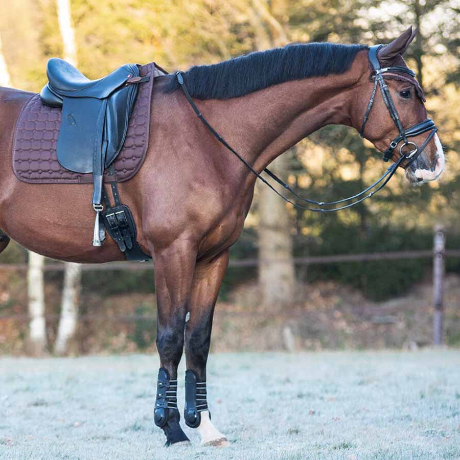 Dressuurzadeldekje Hailyn Bruin