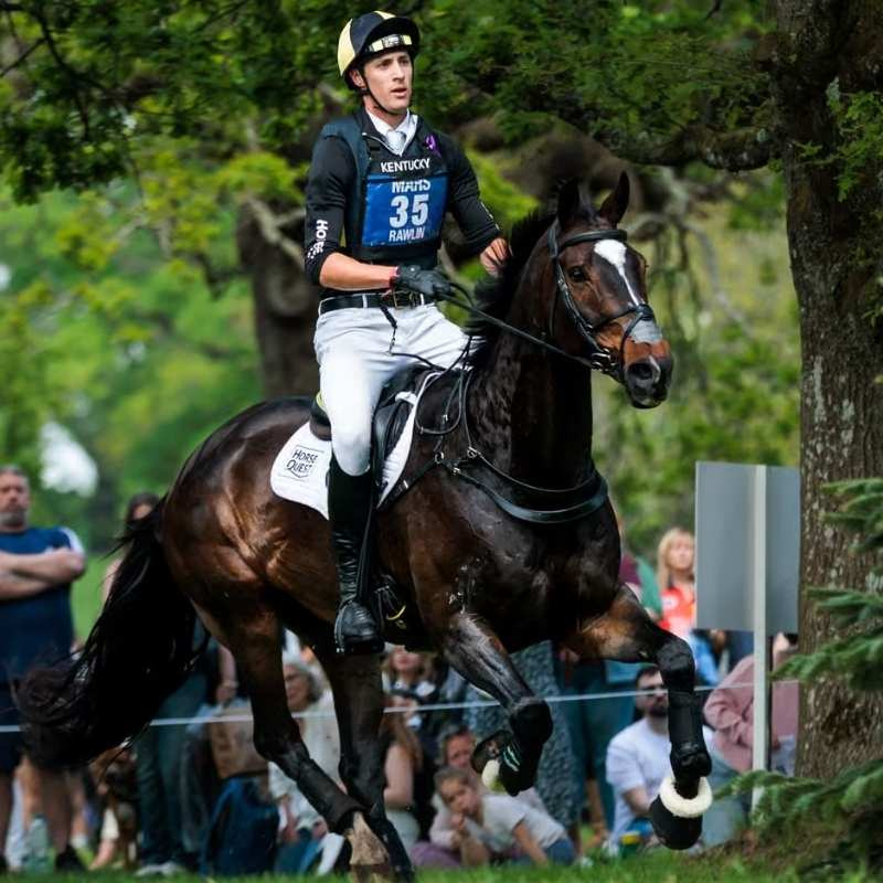 Nummerhouder Eventing Bib Zwart