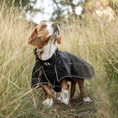 Honden Softshelljas Buddy 2.0 Long Back Zwart Honden Softshelljas Buddy 2.0 Long Back Zwart