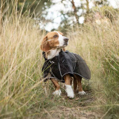 Honden Softshelljas Buddy 2.0 Long Back Zwart Honden Softshelljas Buddy 2.0 Long Back Zwart