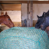 Hooinet Round Bales Groen Hooinet Round Bales Groen