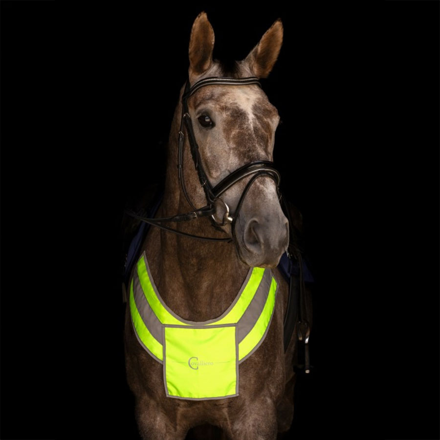 Borst Highly Reflective Geel