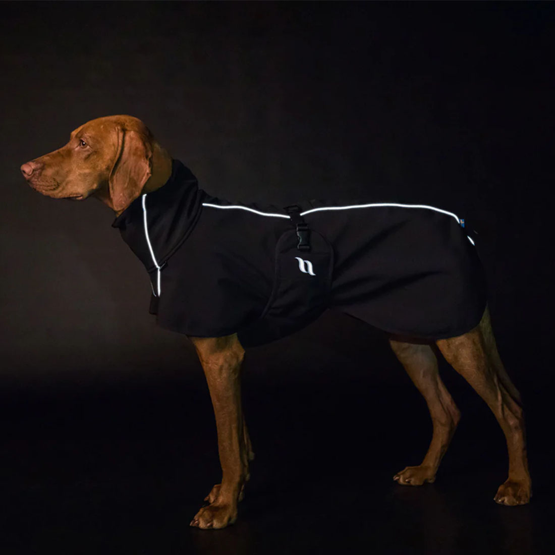 Hondendeken Bark Zwart