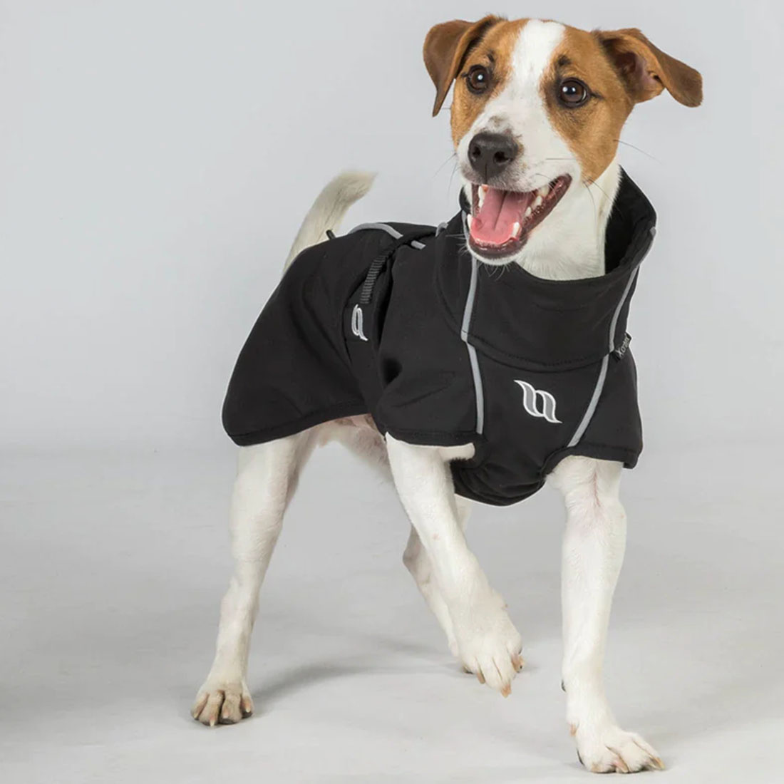 Hondendeken Bark Zwart